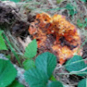 Meet your Posher, Fredrick